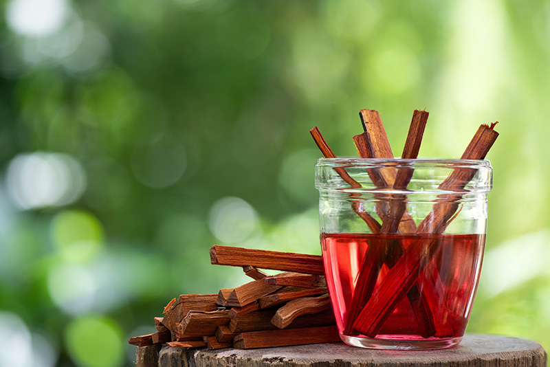 ชาฝางแดงความลับจากธรรมชาติที่ช่วยบำรุงร่างกาย